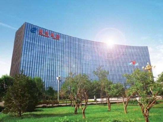 ST晨鸣关联交易隐瞒六年或暴露公司治理病 资金疑似流向副董事长体外公司
